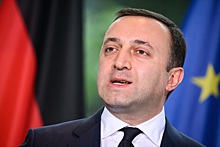 Гарибашвили объяснил отказ Грузии вводить санкции против России