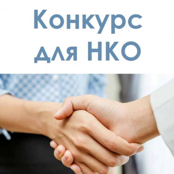 Социальные проекты российских некоммерческих организаций