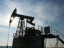 Стремление властей Индии продолжить закупки российской нефти объяснили