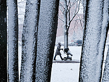 Маткапитал в России предложили вкладывать в ценные бумаги