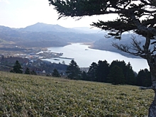 Власти Сахалина планируют начать строительство двух посадочных площадок на Курилах