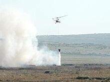 В Анапе локализовали пожар в плавнях