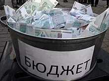 Члены правительства Пермского края задолжали в бюджет 800 тыс. рублей