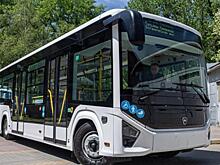 В Ростове появился новый автобус среднего класса