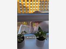 Упавшего на кондиционер многоэтажки в Москве мужчину обвинили в изнасиловании