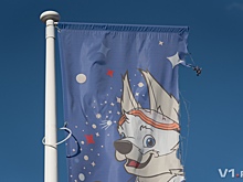 В Волгограде снимают изорванные флаги чемпионата мира