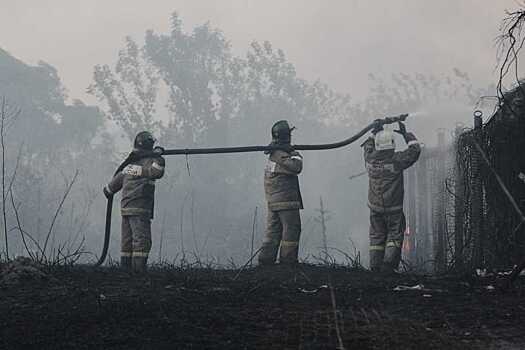 Причиной ландшафтных и лесных пожаров в Воронежской области могли стать поджоги