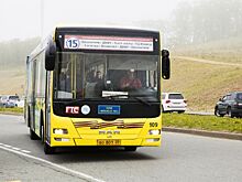 Кожемяко выдвинул ультиматум собственникам пассажирских автобусов во Владивостоке