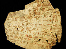 Жертвы предсказаний. Ученые выяснили, кого и зачем приносили в жертву в Древнем Китае