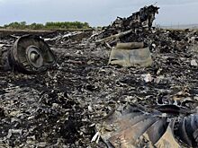 ПАСЕ приняла резолюцию по делу MH17, обвиняющую Россию в крушении лайнера
