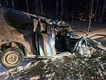 В Удмуртии семья разбилась в жесткой аварии