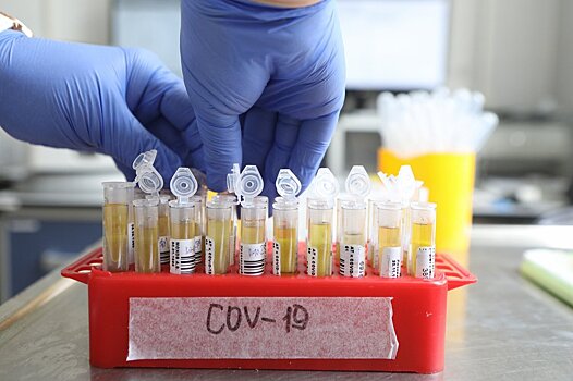 Более 19,5 миллиона тестов на коронавирус проведено в РФ