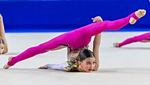 Три золотые медали взяли гимнастки Вологды на межрегиональных соревнованиях