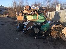 Костромичи требуют чистоты на контейнерных площадках: как ее добиться?