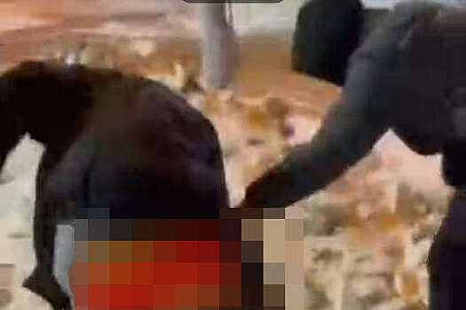 В Ангарске подростков задержали за избиение юноши