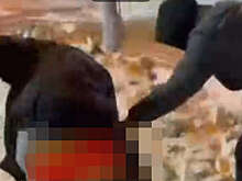 В Ангарске подростков задержали за избиение юноши