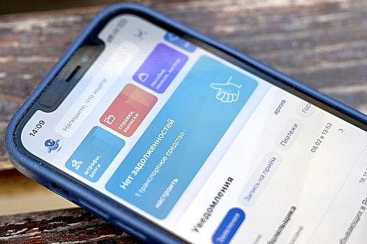 Григоренко: Для 725 федеральных услуг назначены кураторы в ведомствах
