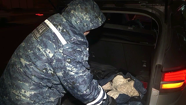Полиция изъяла почти 4 кг наркотиков из иномарки на МКАД