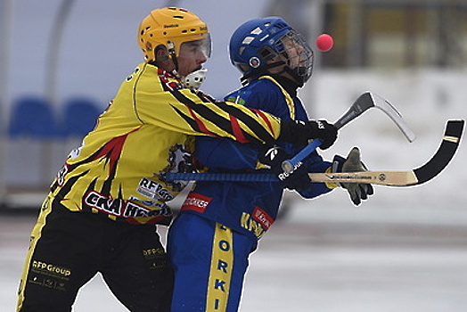 Международный детский турнир по хоккею с мячом пройдет в Красногорске в марте