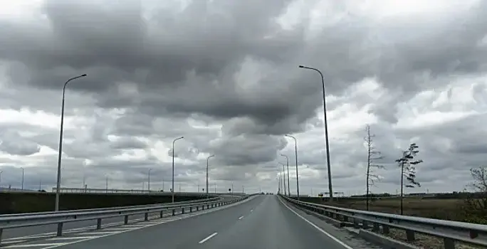 Автобус насмерть сбил лося на трассе "Обход Тольятти" 26 октября