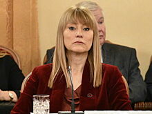 Депутат Журова считает, что РФ может диктовать условия возвращающимся брендам