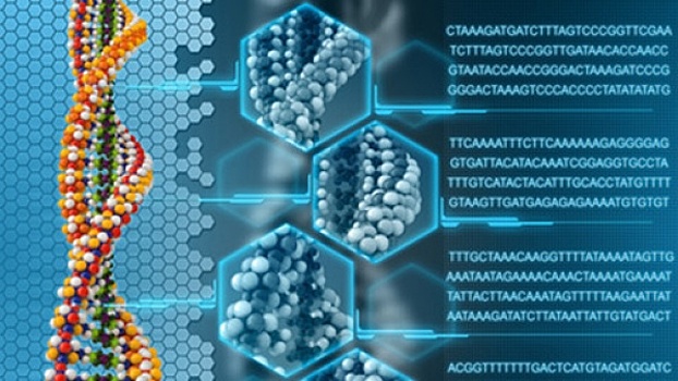 Ученые СФУ нашли на Аляске родственников якутского мамонта