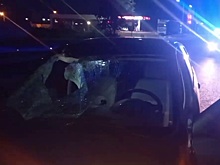 В Волгограде водитель за рулем иномарки сбил двух человек