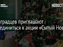 Ленинградцев приглашают присоединиться к акции «Сытый Новый год»