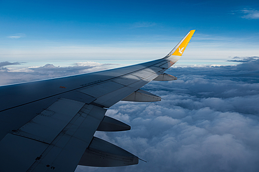 Из-за непогоды и ограничений в России задержаны авиарейсы