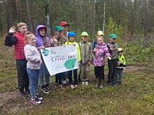 Лесники края очистили приобские и ленточные боры от мусора
