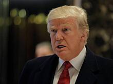 Трамп приготовился упразднить министерство образования США