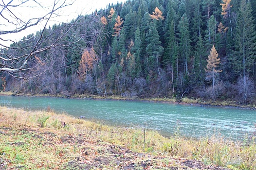 "Медные" берега, зеленая вода: жители Ивделя кричат SOS