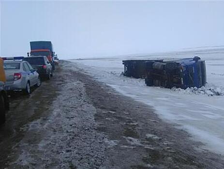 Попавший в ДТП под Сызранью грузовик вез скакунов в Монголию
