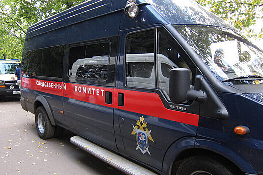 Следователи проверят продажу осужденным за убийство девушки футболок на тему его дела