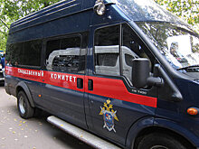 Под Петербургом дети нашли череп ребенка