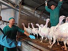 ВЭБ может получить контроль над «Евродоном»