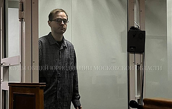 Хакера Хорошилова осудили на 21 год за DDoS-атаку на "Почту России"