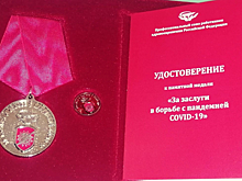 Курских врачей наградили за заслуги в борьбе с пандемией