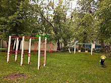 Аварийные деревья вырубили в Пресненском районе