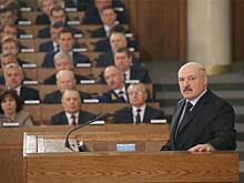 Незыгарь: семья Лукашенко отмывает деньги арабских шейхов