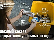 Что полезного содержит наше мусорное ведро?