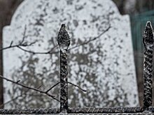 В Башкирии в ДТП погибла 11-летняя девочка