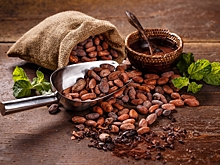 Стало известно о резком падении цен на какао