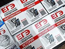 Российским школьникам предрекли сдачу ЕГЭ с искусственным интеллектом