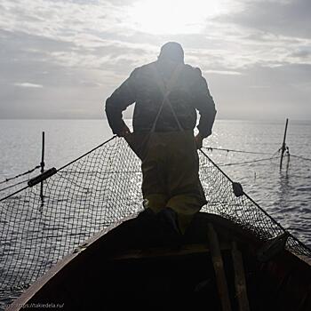 Сотрудники ПУ ФСБ России по Краснодарскому краю выявили 6 нарушений Правил рыболовства бригадами прибрежного лова