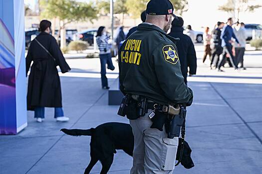 Мать расправилась с дочерью в номере отеля в Лас-Вегасе