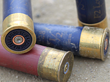 11-летний мальчик застрелил сверстника