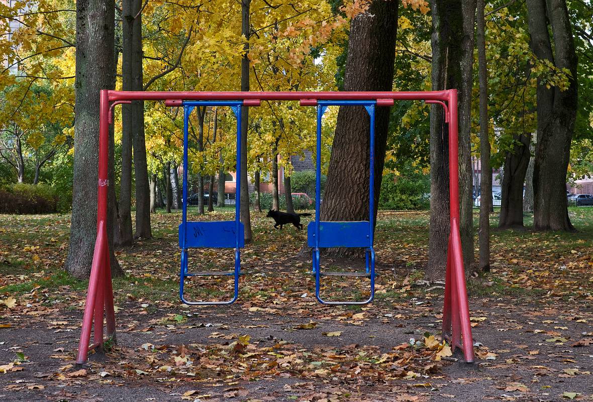 В российском селе у детей решили отобрать сад под нужды администрации