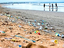 Кубанских студентов приглашают поучаствовать в экобитве за чистое море