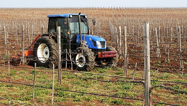 Арестованы участники «тракторного марша»